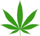 Cannabis4Health logo