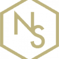 Logo for NS