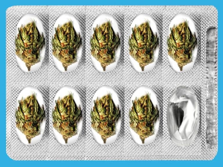 Cannabis flower inside of pill pouches (artistic).